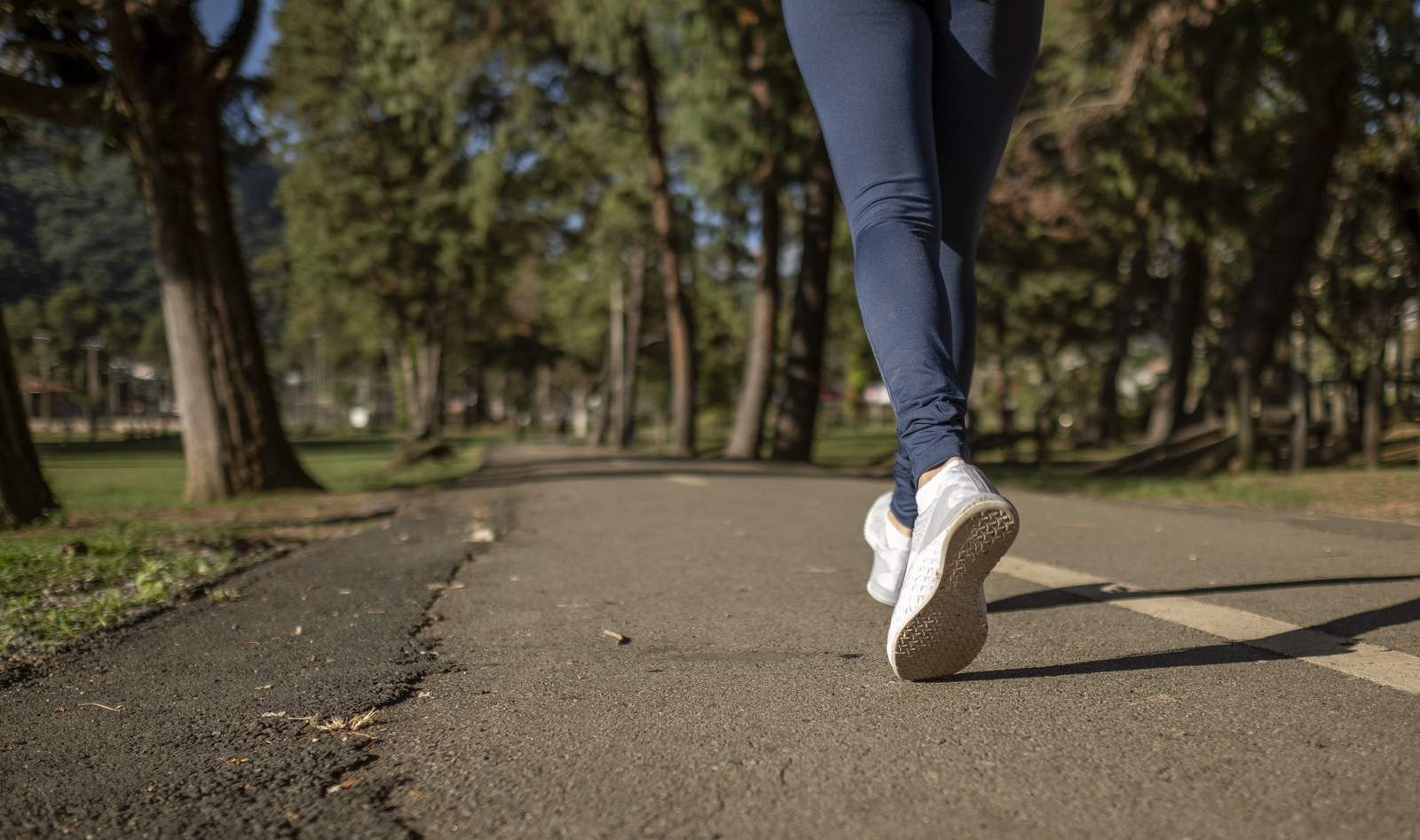Die VG-Verwaltung Edenkoben stellt eine Mannschaft für den dm-Firmenlauf in LD am 13. Mai. 