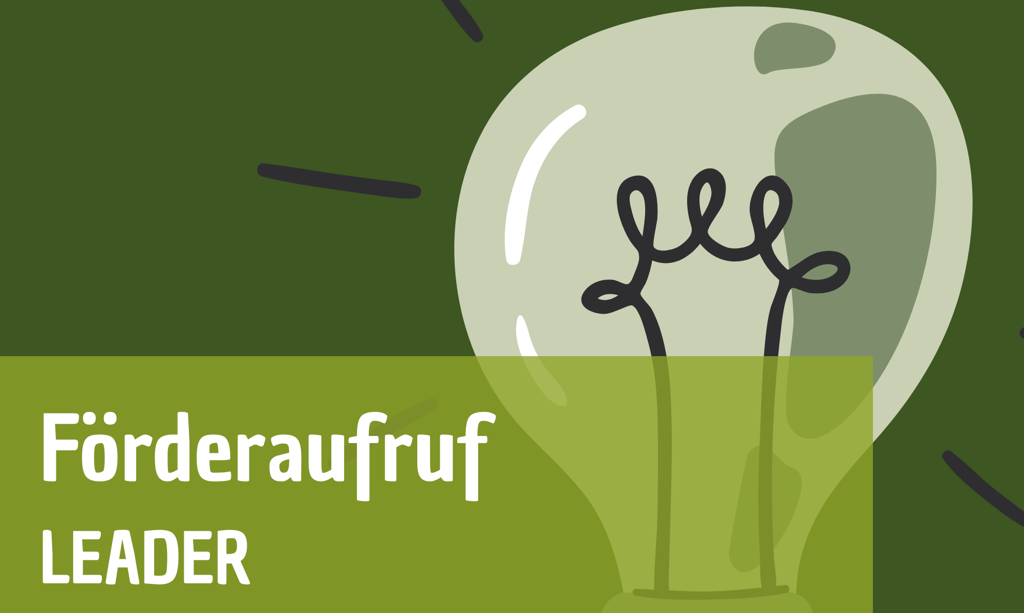 Es gibt neue Fördergelder für regionale Projekte über das Programm LEADER. Für Vereine, Institutionen oder auch Privatpersonen. 