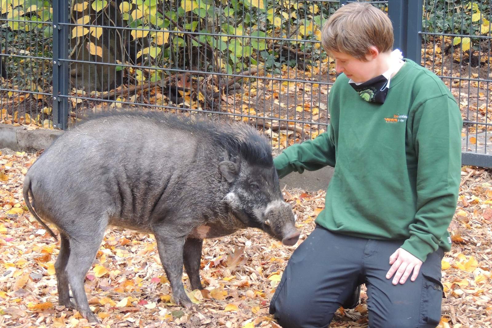 Beobachten und Kümmern. Pflege im Zoo. 