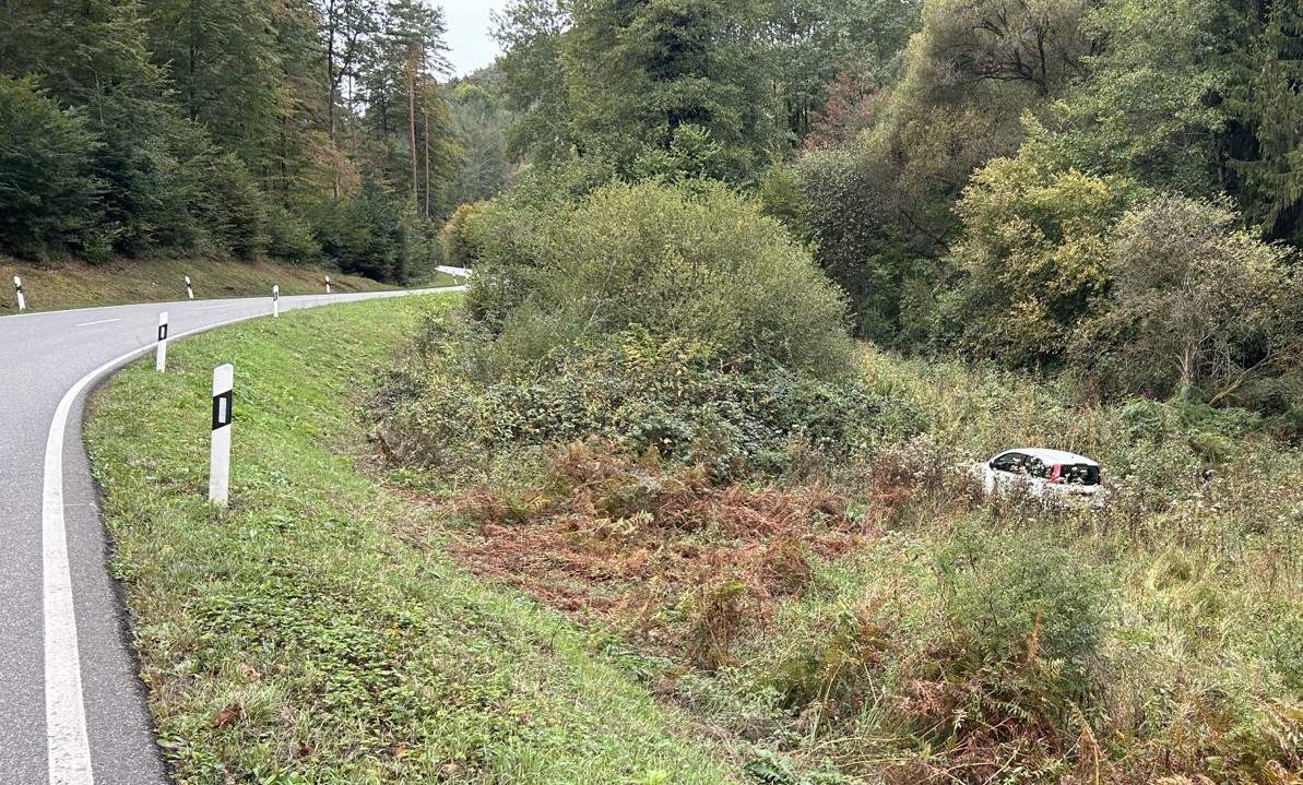 Wegen Sekundenschlafes in einer Kurve von der Straße abgekommen. Zwischen Silz in Richtung Vorderweidenthal. 