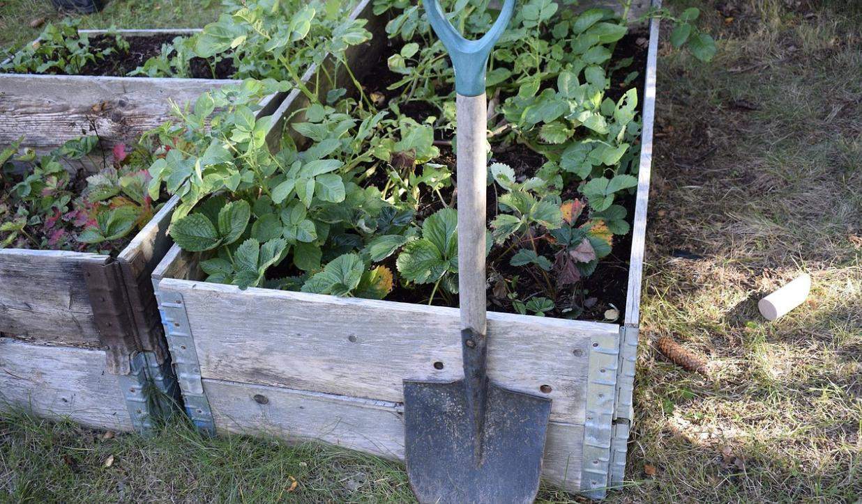 In Fehrbach wurde in einer Schrebergarten-Anlage in zwei Parzellen eingebrochen. 